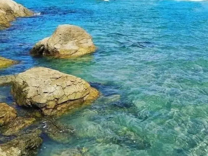 Apartamento Na Praia Da Enseada, 100 Mt Praia Sao Francisco do Sul 0*,